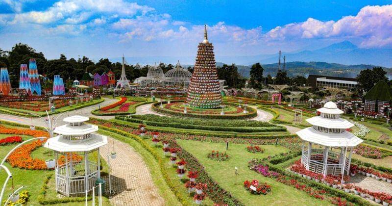 Tamanbungacelosia.com